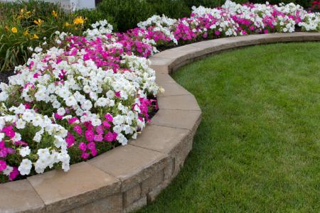 Flowerbed Fertilization